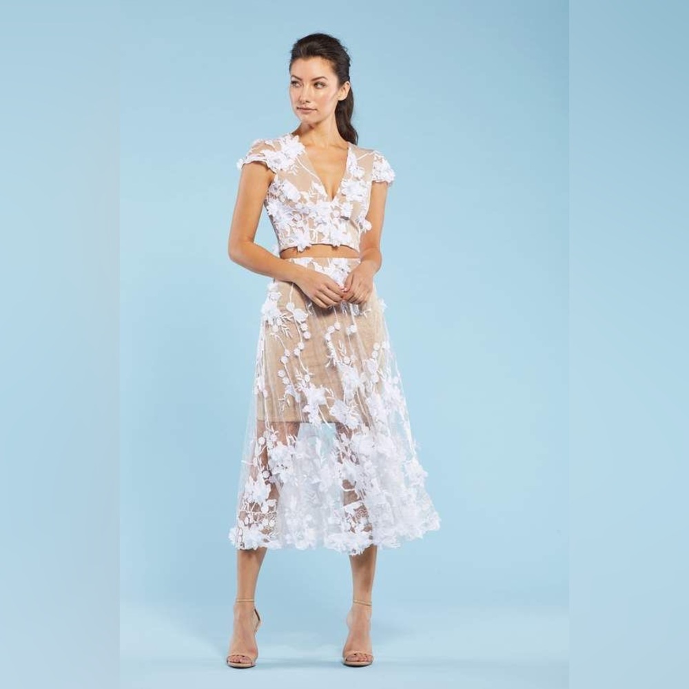 Dress the Population 2 piece Juliana dress. NWOT